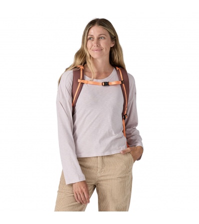 Patagonia Black Hole Pack 25L