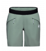 Mammut Aenergy SO Shorts W's